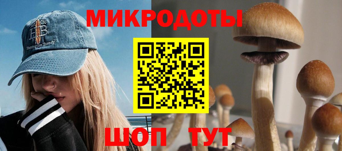 Аша  Псилоцибиновые грибы Cubensis  Псилоцибиновые грибы прущие грибы  Вход с VPN 