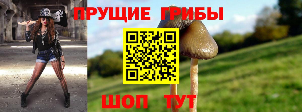 Псилоцибиновые грибы GOLDEN TEACHER Аша