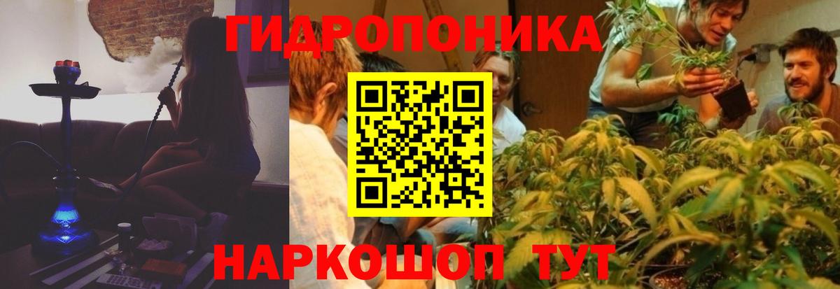 Шишки марихуана индика  Канабис гибрид  Вход с VPN  Бошки Шишки ГИДРОПОН  Аша 